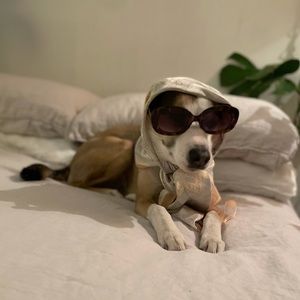 Meet your Posher, Phoebe